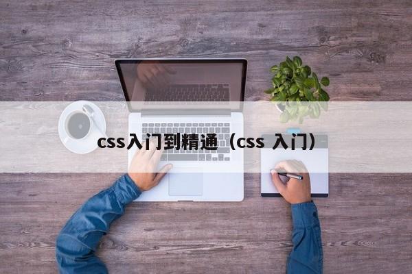 css入门到精通(css 入门)