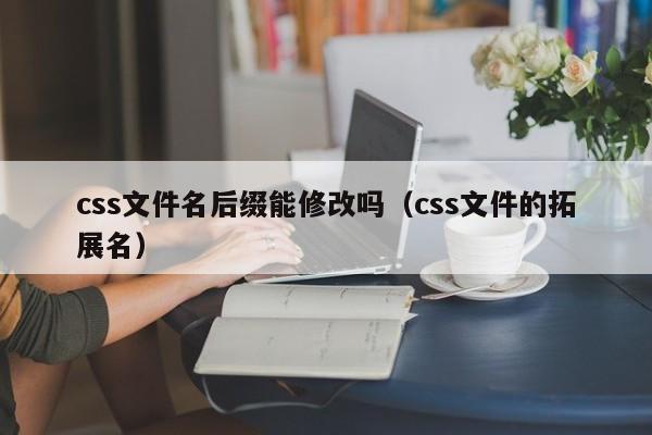 css文件名后缀能修改吗(css文件的拓展名)
