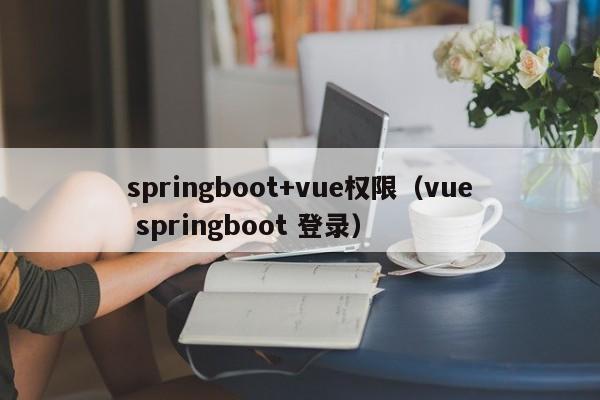 springboot+vue权限（vue springboot 登录）