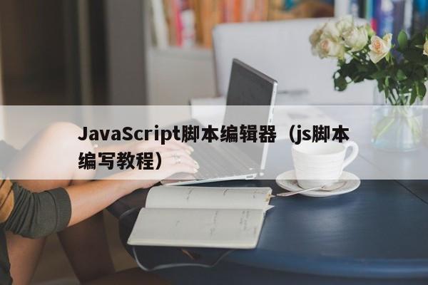 JavaScript脚本编辑器(js脚本编写教程)