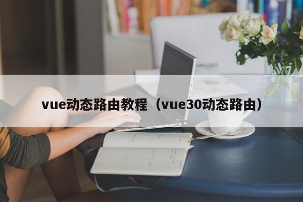 vue动态路由教程（vue30动态路由）