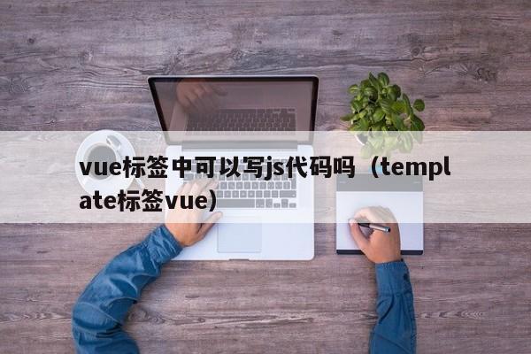 vue标签中可以写js代码吗（template标签vue）