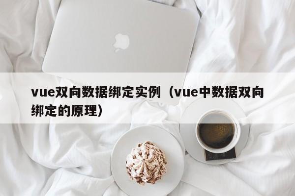 vue双向数据绑定实例(vue中数据双向绑定的原理)