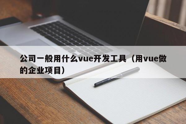 公司一般用什么vue开发工具（用vue做的企业项目）