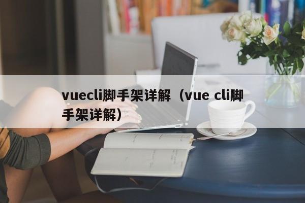 vuecli脚手架详解(vue cli脚手架详解)
