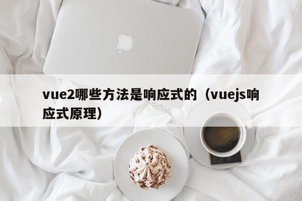 vue2哪些方法是响应式的(vuejs响应式原理)