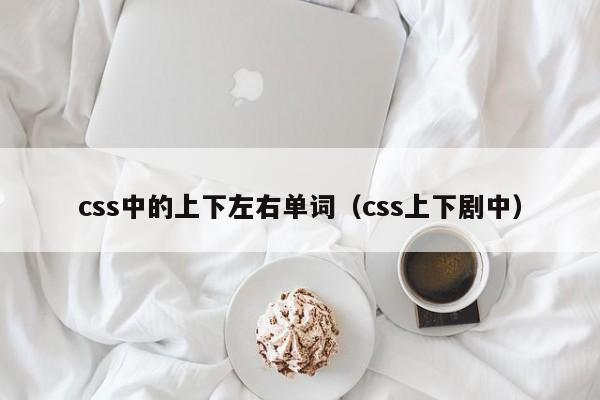 css中的上下左右单词（css上下剧中）