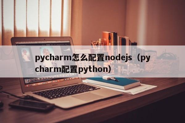 pycharm怎么配置nodejs(pycharm配置python)
