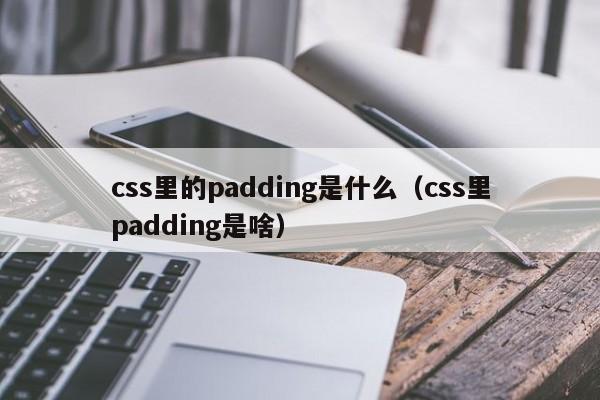 css里的padding是什么（css里padding是啥）