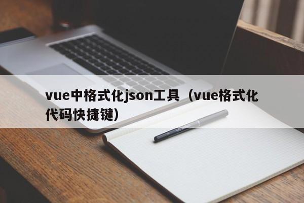 vue中格式化json工具（vue格式化代码快捷键）