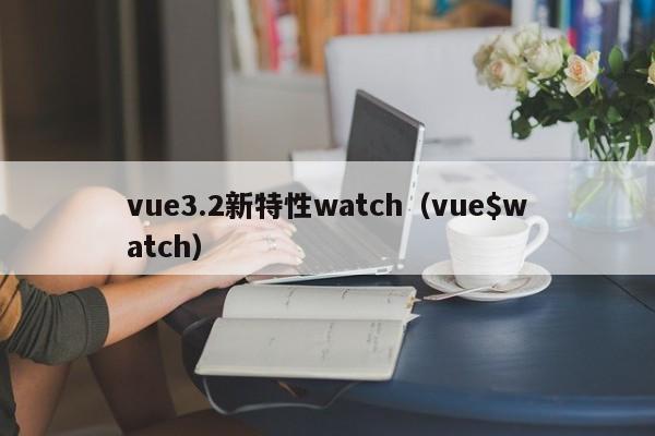 vue3.2新特性watch（vue$watch）