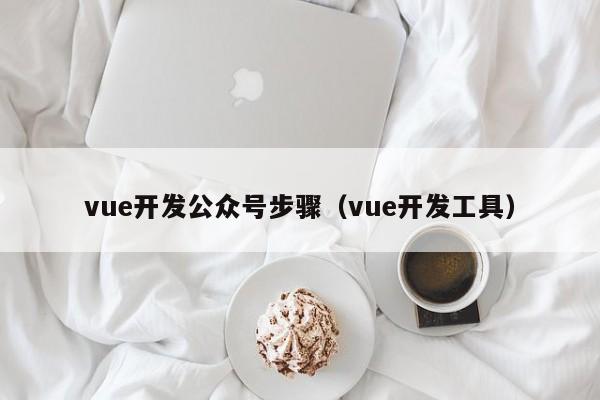 vue开发公众号步骤（vue开发工具）