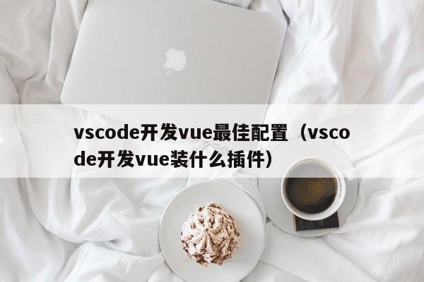 vscode开发vue最佳配置（vscode开发vue装什么插件）