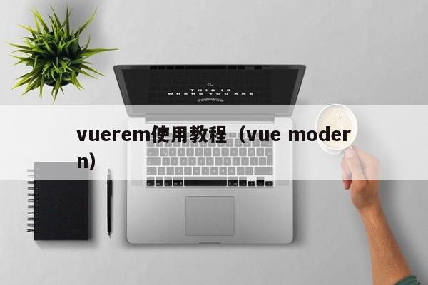 vuerem使用教程（vue modern）