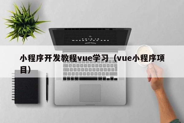 小程序开发教程vue学习（vue小程序项目）