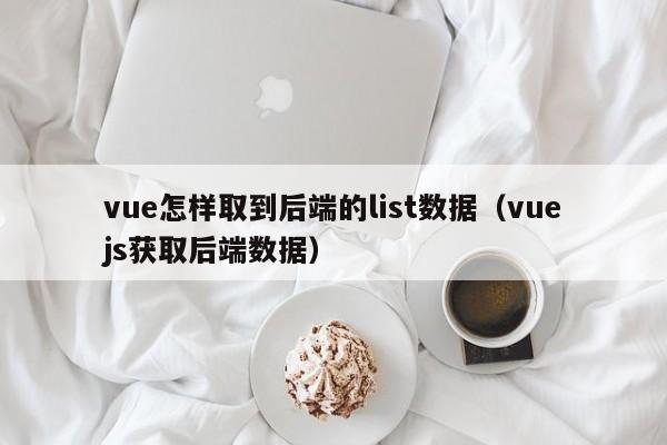 vue怎样取到后端的list数据（vuejs获取后端数据）