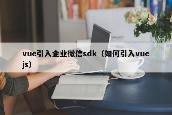 vue引入企业微信sdk（如何引入vuejs）
