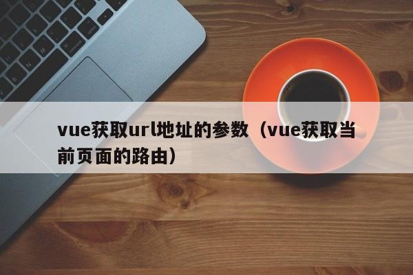 vue获取url地址的参数（vue获取当前页面的路由）