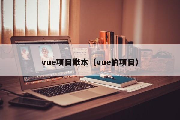 vue项目账本（vue的项目）