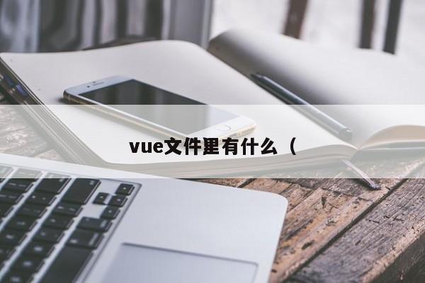 vue文件里有什么（vue文件）