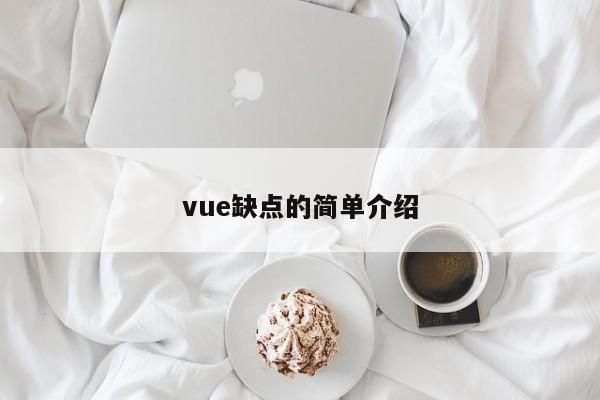 vue缺点的简单介绍