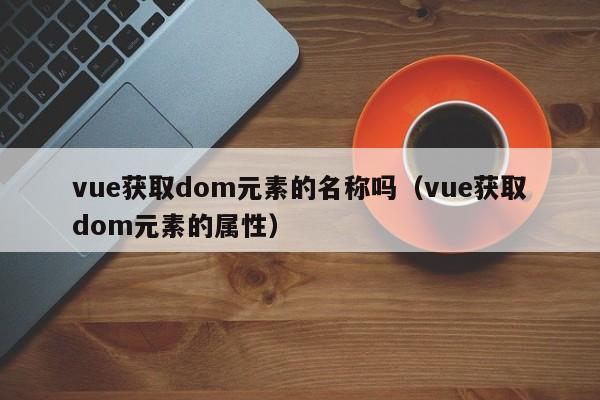 vue获取dom元素的名称吗（vue获取dom元素的属性）