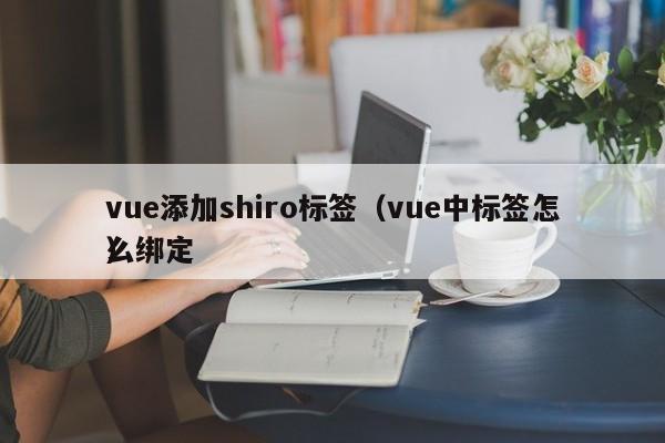 vue添加shiro标签（vue中标签怎么绑定）