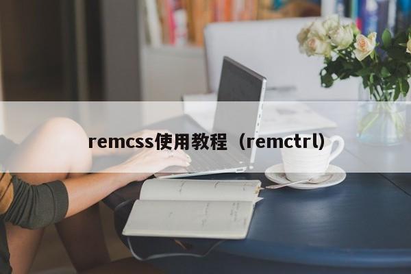 remcss使用教程（remctrl）
