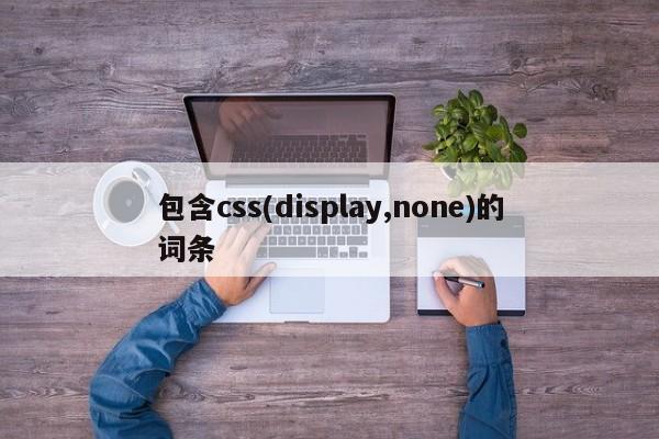 包含css(display,none)的词条